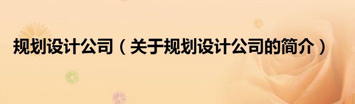 規(guī)劃設(shè)計(jì)公司（關(guān)于規(guī)劃設(shè)計(jì)公司的簡介）