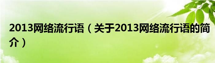 2013網(wǎng)絡(luò)流行語（關(guān)于2013網(wǎng)絡(luò)流行語的簡介）