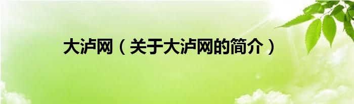 大瀘網(wǎng)（關(guān)于大瀘網(wǎng)的簡介）