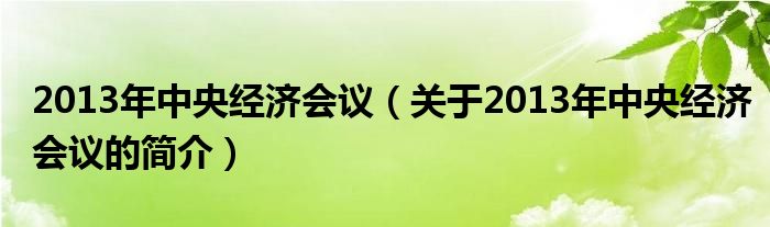 2013年中央經(jīng)濟(jì)會議（關(guān)于2013年中央經(jīng)濟(jì)會議的簡介）