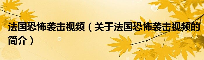 法國(guó)恐怖襲擊視頻（關(guān)于法國(guó)恐怖襲擊視頻的簡(jiǎn)介）