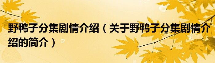 野鴨子分集劇情介紹（關(guān)于野鴨子分集劇情介紹的簡(jiǎn)介）