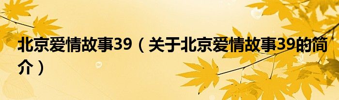 北京愛(ài)情故事39（關(guān)于北京愛(ài)情故事39的簡(jiǎn)介）