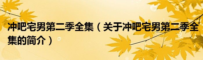 沖吧宅男第二季全集（關(guān)于沖吧宅男第二季全集的簡介）