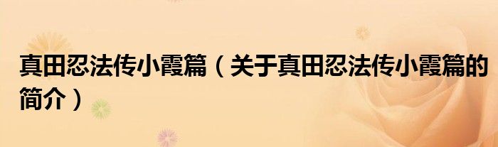 真田忍法傳小霞篇（關(guān)于真田忍法傳小霞篇的簡(jiǎn)介）