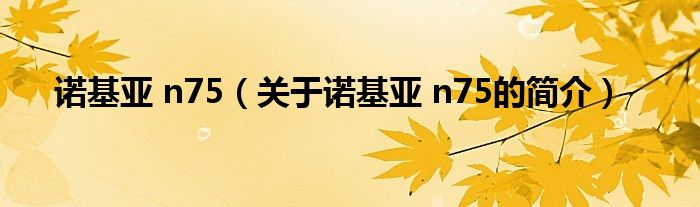 諾基亞 n75（關(guān)于諾基亞 n75的簡(jiǎn)介）