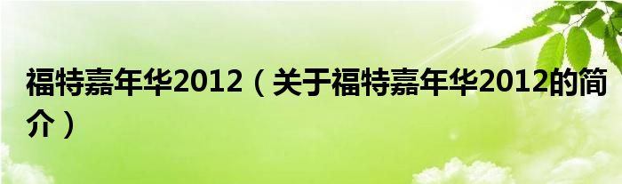 福特嘉年華2012（關(guān)于福特嘉年華2012的簡介）