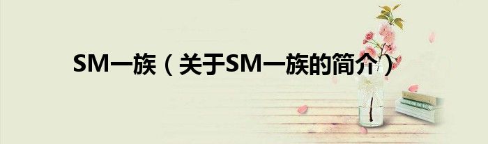 SM一族（關(guān)于SM一族的簡(jiǎn)介）