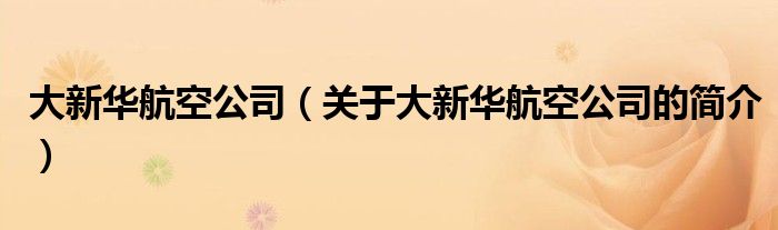 大新華航空公司（關于大新華航空公司的簡介）