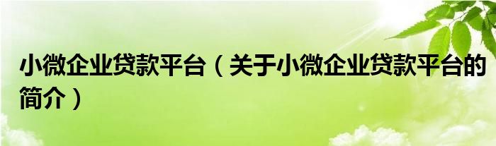 小微企業(yè)貸款平臺（關(guān)于小微企業(yè)貸款平臺的簡介）