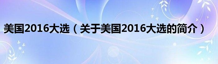 美國2016大選（關(guān)于美國2016大選的簡介）