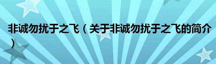 非誠勿擾于之飛（關(guān)于非誠勿擾于之飛的簡介）