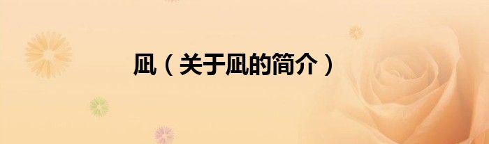 凪（關(guān)于凪的簡(jiǎn)介）