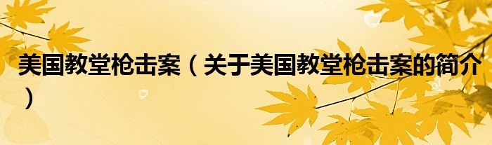 美國(guó)教堂槍擊案（關(guān)于美國(guó)教堂槍擊案的簡(jiǎn)介）