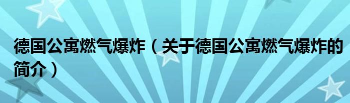 德國(guó)公寓燃?xì)獗ǎP(guān)于德國(guó)公寓燃?xì)獗ǖ暮?jiǎn)介）