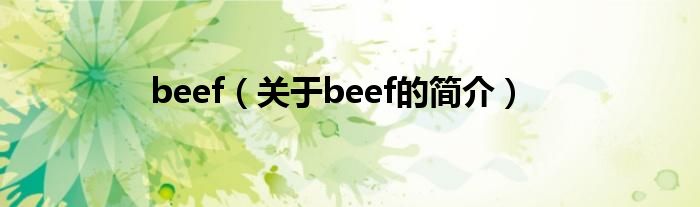 beef（關(guān)于beef的簡(jiǎn)介）