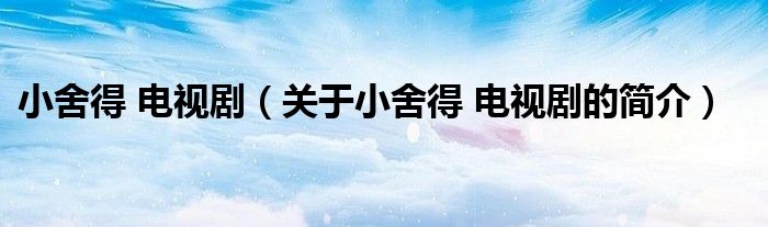 小舍得 電視?。P(guān)于小舍得 電視劇的簡(jiǎn)介）