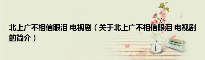 北上廣不相信眼淚 電視?。P(guān)于北上廣不相信眼淚 電視劇的簡(jiǎn)介）