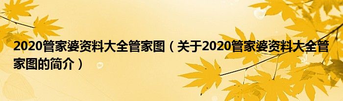 2020管家婆資料大全管家圖（關于2020管家婆資料大全管家圖的簡介）