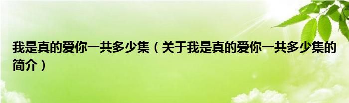 我是真的愛你一共多少集（關(guān)于我是真的愛你一共多少集的簡介）