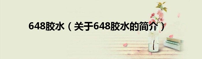 648膠水（關(guān)于648膠水的簡(jiǎn)介）