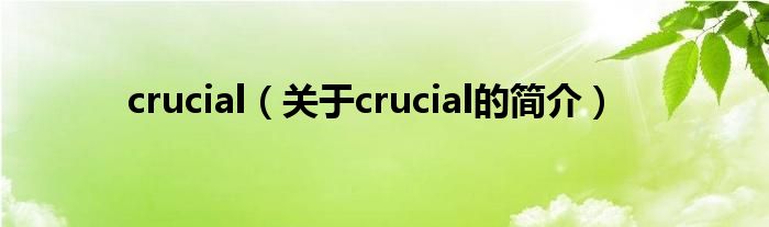 crucial（關于crucial的簡介）