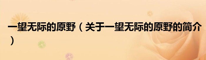 一望無際的原野（關(guān)于一望無際的原野的簡介）