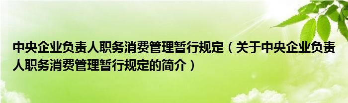 中央企業(yè)負責人職務消費管理暫行規(guī)定（關于中央企業(yè)負責人職務消費管理暫行規(guī)定的簡介）