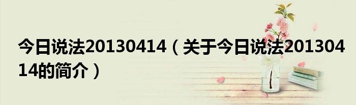 今日說法20130414（關(guān)于今日說法20130414的簡介）