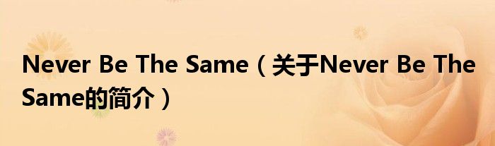 Never Be The Same（關(guān)于Never Be The Same的簡(jiǎn)介）