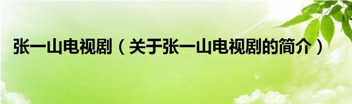 張一山電視?。P(guān)于張一山電視劇的簡介）