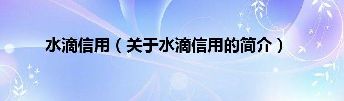 水滴信用（關于水滴信用的簡介）