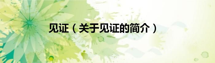 見(jiàn)證（關(guān)于見(jiàn)證的簡(jiǎn)介）