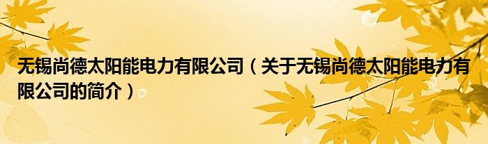 無錫尚德太陽能電力有限公司（關(guān)于無錫尚德太陽能電力有限公司的簡介）