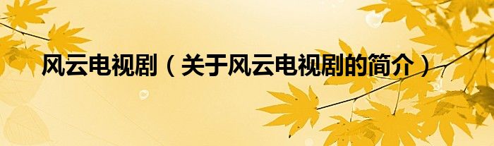 風(fēng)云電視?。P(guān)于風(fēng)云電視劇的簡(jiǎn)介）