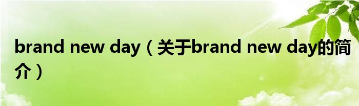 brand new day（關于brand new day的簡介）