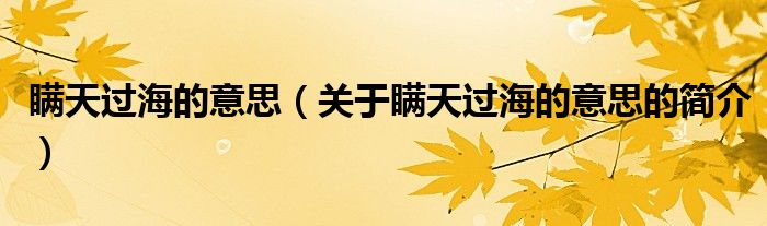 瞞天過海的意思（關(guān)于瞞天過海的意思的簡(jiǎn)介）