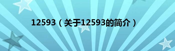 12593（關(guān)于12593的簡(jiǎn)介）