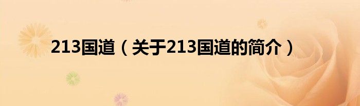 213國道（關于213國道的簡介）