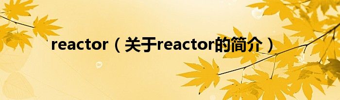 reactor（關(guān)于reactor的簡(jiǎn)介）