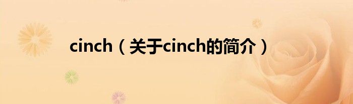 cinch（關(guān)于cinch的簡介）