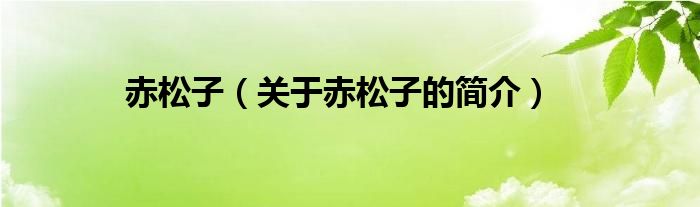 赤松子（關(guān)于赤松子的簡(jiǎn)介）