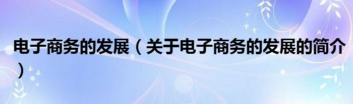 電子商務(wù)的發(fā)展（關(guān)于電子商務(wù)的發(fā)展的簡介）