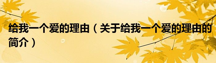 給我一個(gè)愛的理由（關(guān)于給我一個(gè)愛的理由的簡(jiǎn)介）