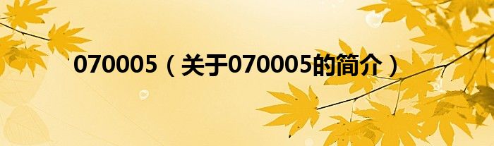 070005（關(guān)于070005的簡(jiǎn)介）