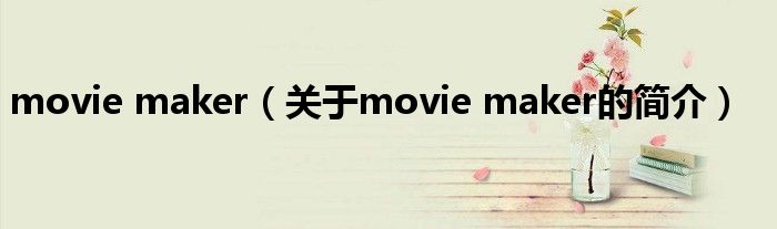 movie maker（關于movie maker的簡介）