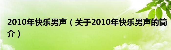 2010年快樂男聲（關(guān)于2010年快樂男聲的簡介）