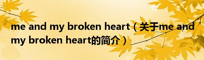 me and my broken heart（關于me and my broken heart的簡介）