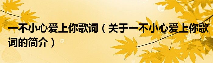 一不小心愛上你歌詞（關(guān)于一不小心愛上你歌詞的簡(jiǎn)介）