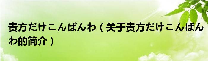 貴方だけこんばんわ（關(guān)于貴方だけこんばんわ的簡(jiǎn)介）